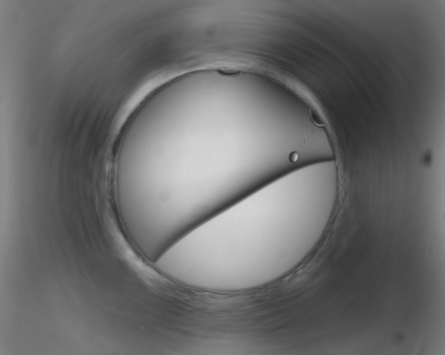 X0000116791099200912181048