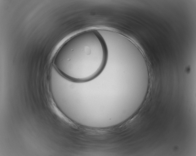 X0000116791100200912181048