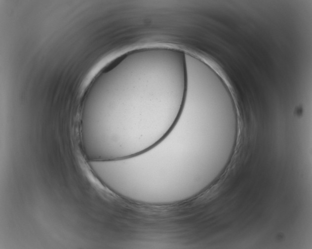 X0000116791101200912181048