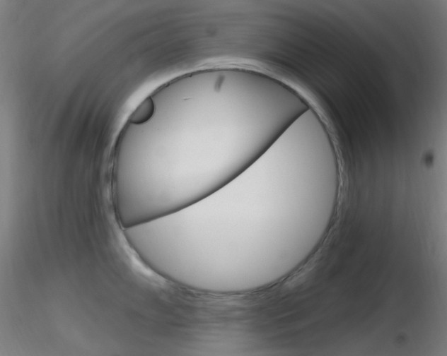 X0000116791102200912181048
