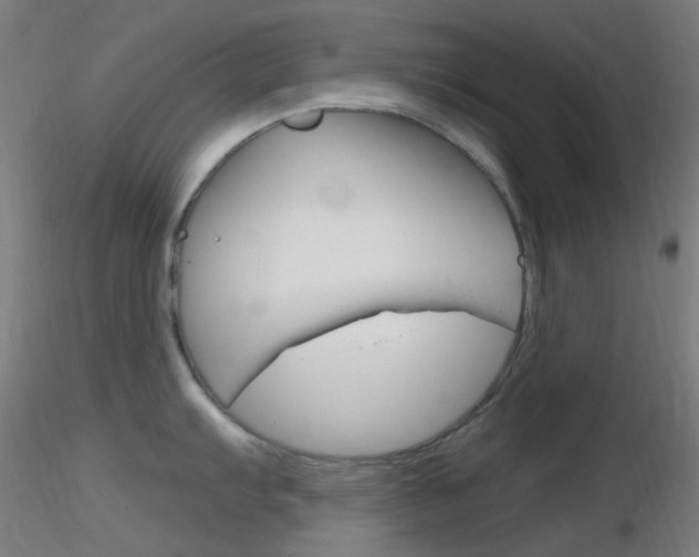 X0000116791103200912181048