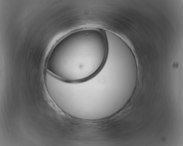 X0000116791104200912181048