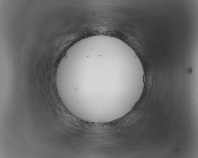X0000116791105200912181047
