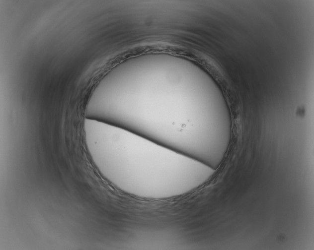 X0000116791111200912181047