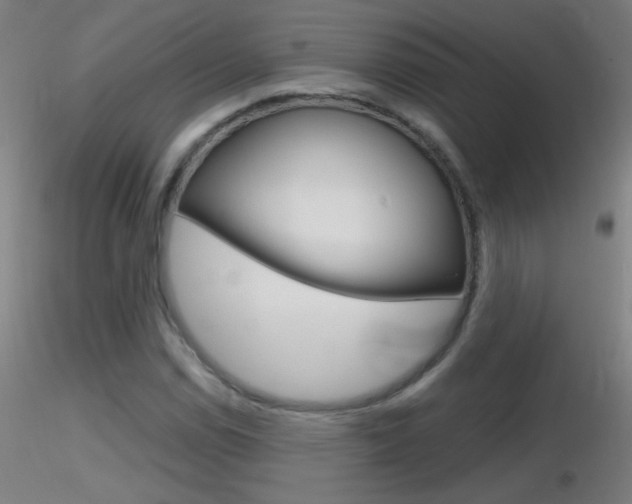 X0000116791114200912181047
