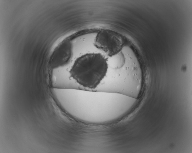 X0000116791117200912181047