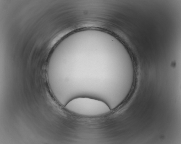 X0000116791121200912181047