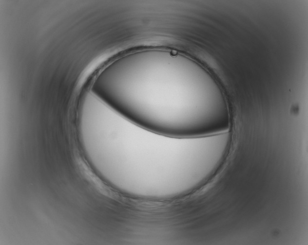 X0000116791122200912181047