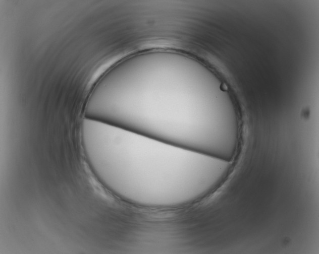 X0000116791129200912181048