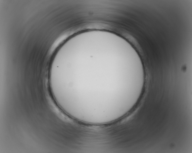 X0000116791130200912181048