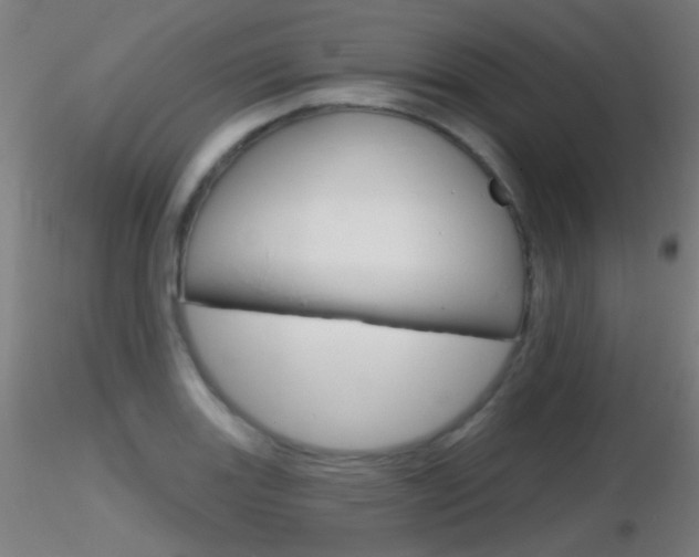 X0000116791131200912181048