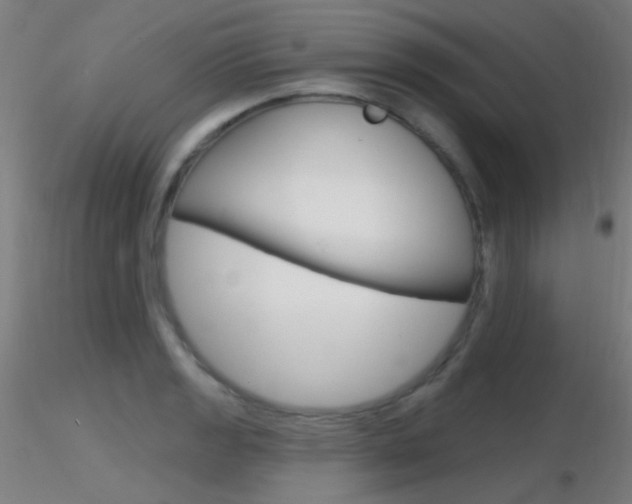 X0000116791133200912181048