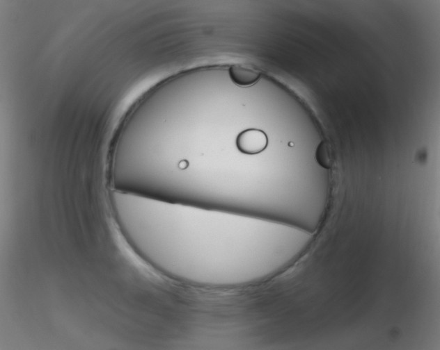 X0000116791135200912181048