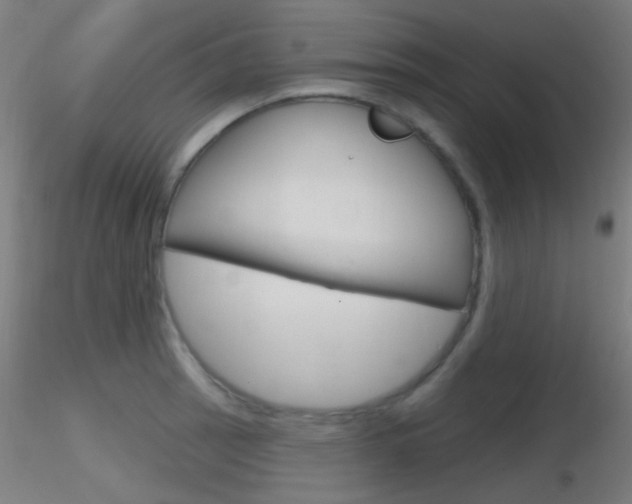 X0000116791137200912181048