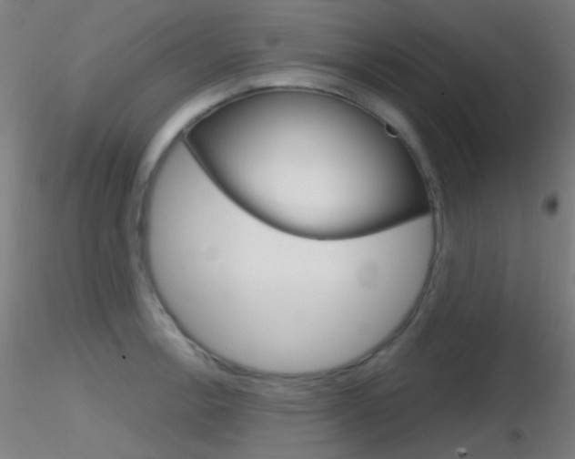 X0000116791138200912181048