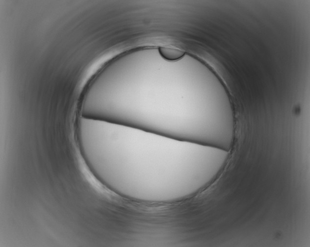 X0000116791139200912181048