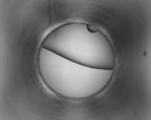 X0000116791141200912181048