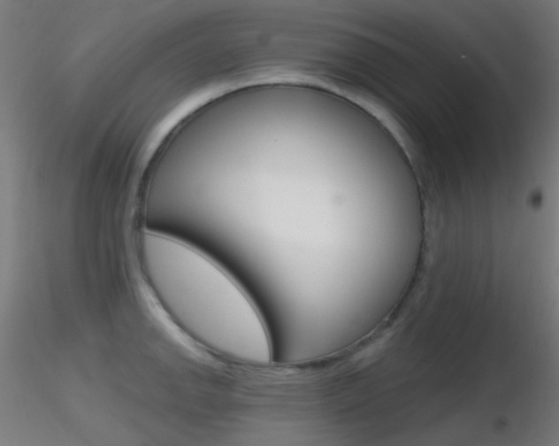 X0000116791142200912181048
