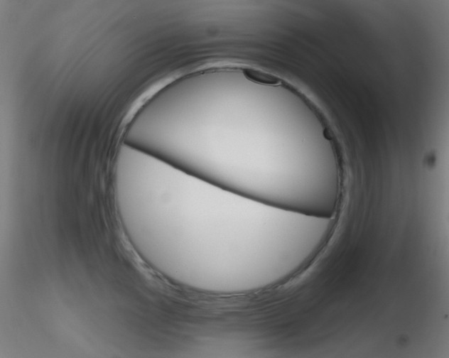 X0000116791145200912181048