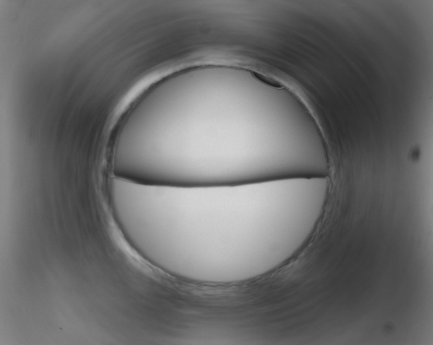 X0000116791147200912181048