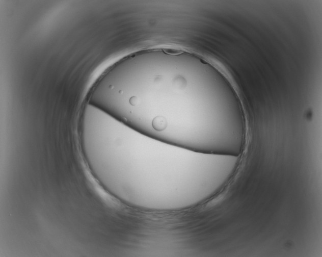 X0000116791149200912181048