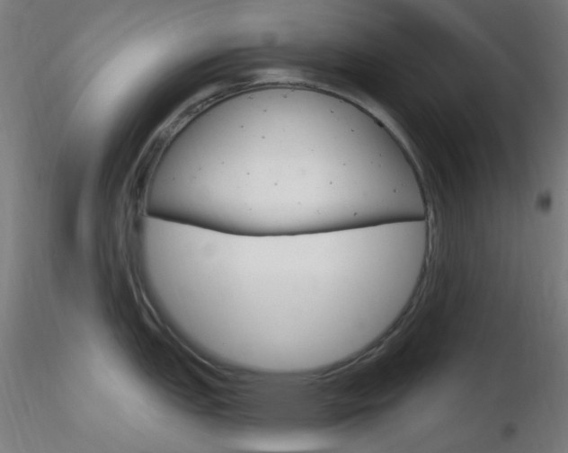 X0000116791151200912181048