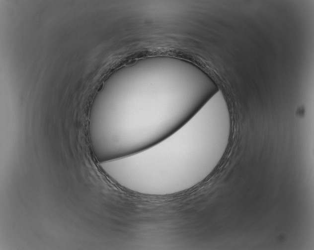 X0000116791153200912181047