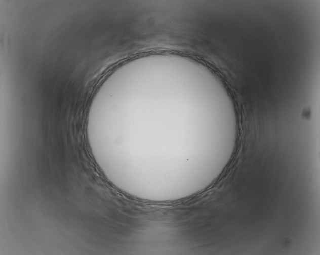X0000116791157200912181047