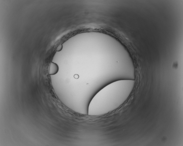 X0000116791158200912181047