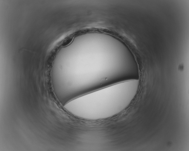 X0000116791159200912181047