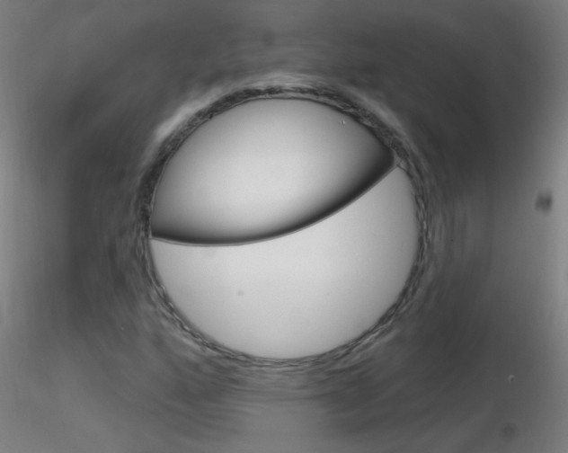 X0000116791160200912181047