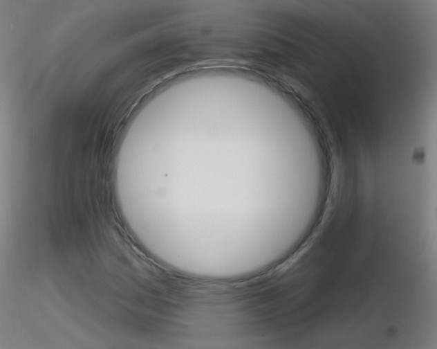 X0000116791161200912181047