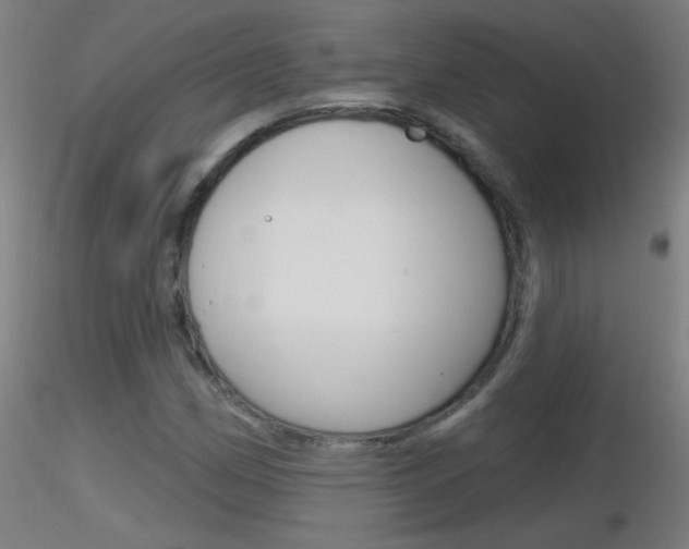X0000116791162200912181047