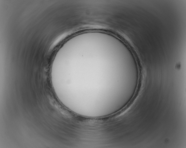 X0000116791163200912181047