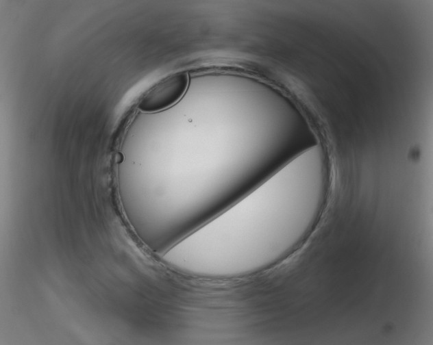 X0000116791164200912181047