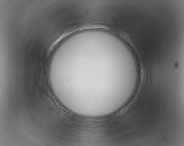 X0000116791165200912181047