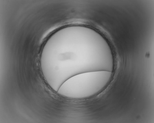 X0000116791166200912181047