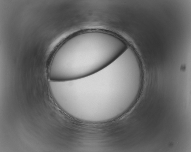 X0000116791167200912181047