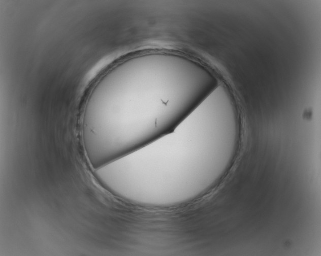 X0000116791168200912181047