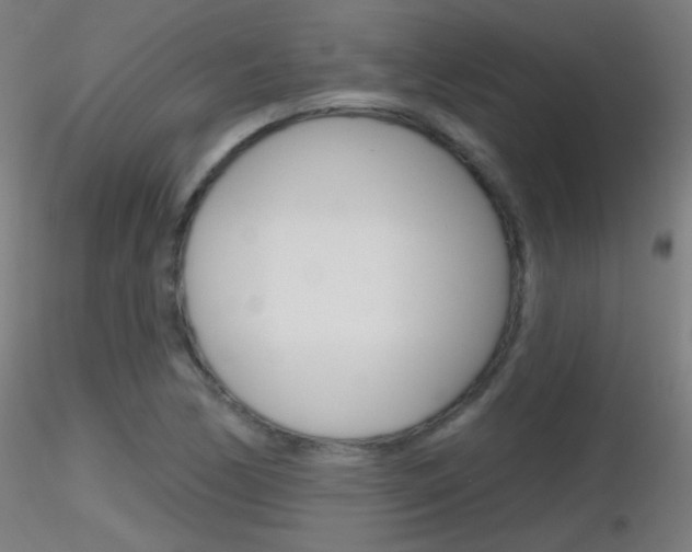 X0000116791170200912181047