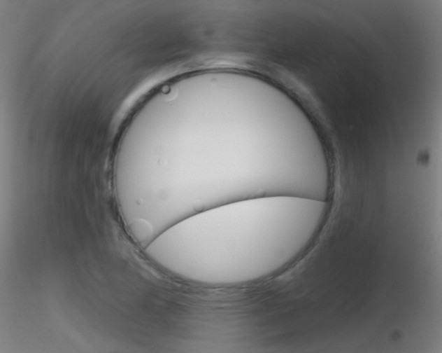 X0000116791174200912181047