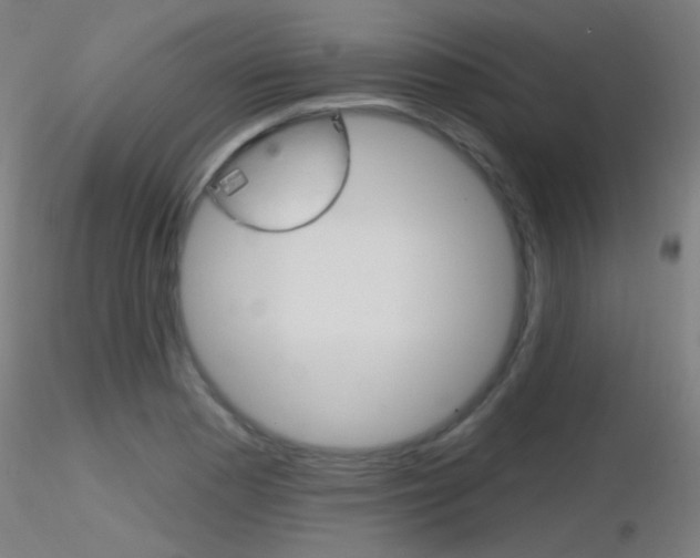 X0000116791177200912181047