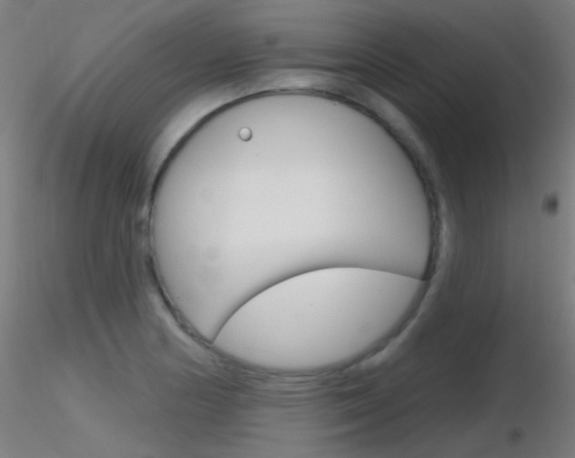 X0000116791178200912181047