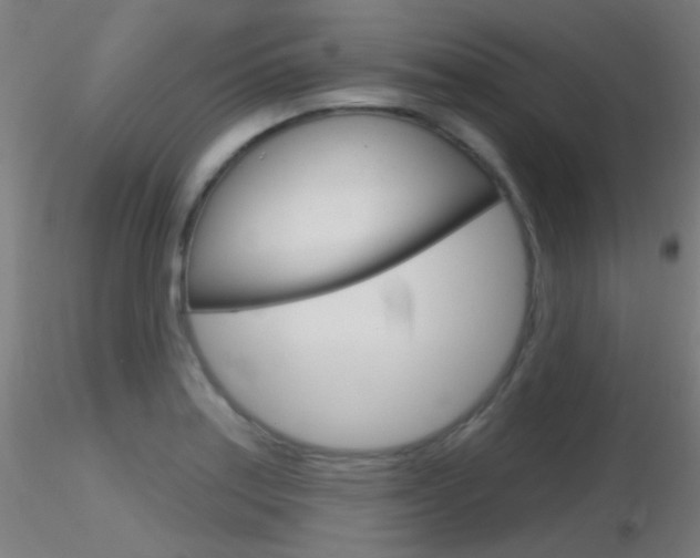X0000116791179200912181047