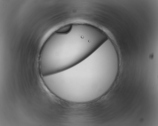 X0000116791183200912181047