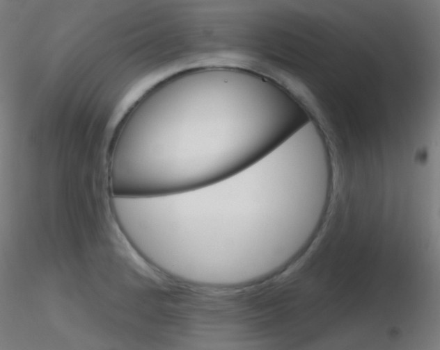 X0000116791184200912181047
