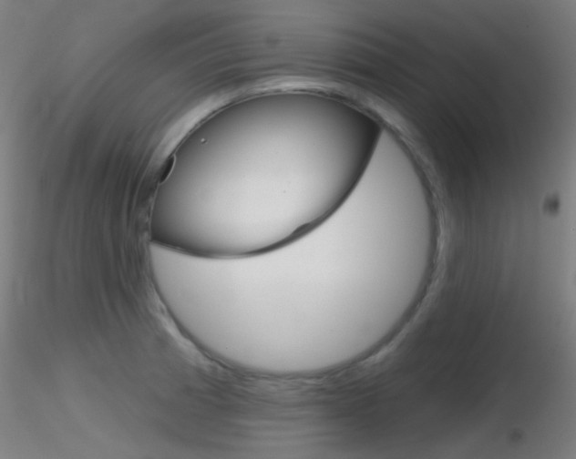 X0000116791185200912181047