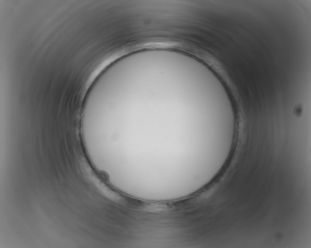 X0000116791186200912181047