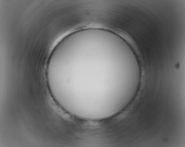 X0000116791190200912181047
