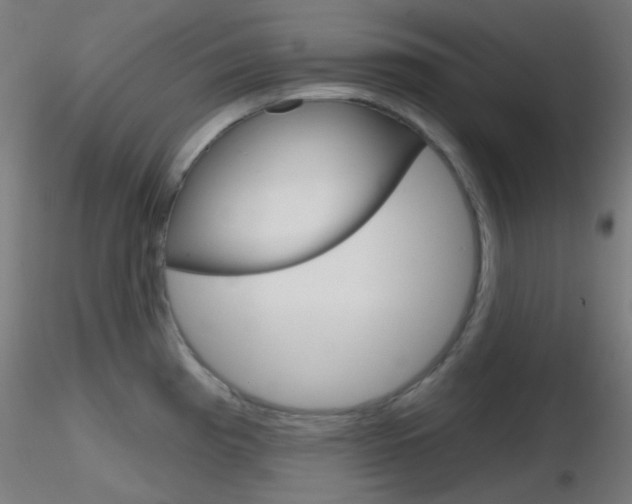 X0000116791193200912181047
